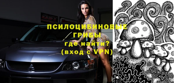 кокс Покачи